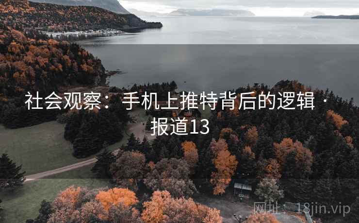 社会观察：手机上推特背后的逻辑 · 报道13