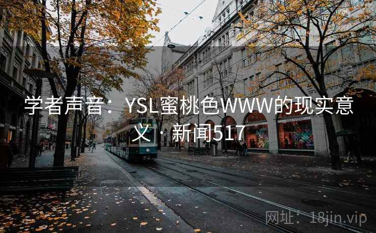 学者声音：YSL蜜桃色WWW的现实意义 · 新闻517