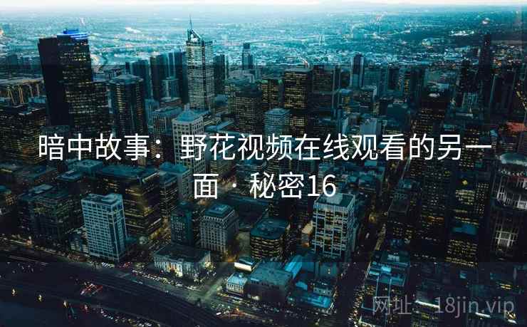 暗中故事:野花视频在线观看的另一面 · 秘密16